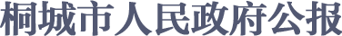 桐城市人民政府公报