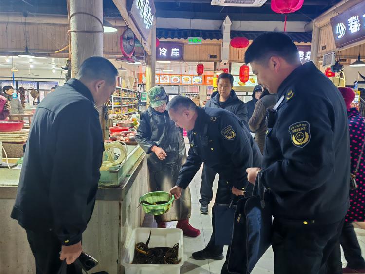桐城：绷紧“食安弦” 守护舌尖上的“年味”