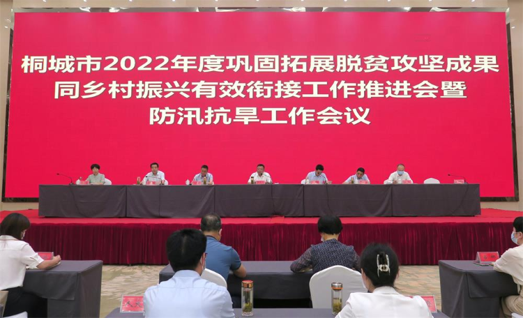 桐城市2022年度巩固拓展脱贫攻坚成果同乡村振兴有效衔接工作推进会暨防汛抗旱工作会议召开