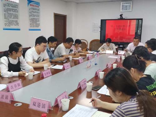 桐城市召开镇、街道政务公开工作推进会