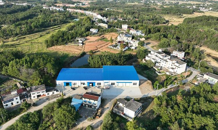 青草镇复兴村：筑巢引凤兴产业  强村富民固根基