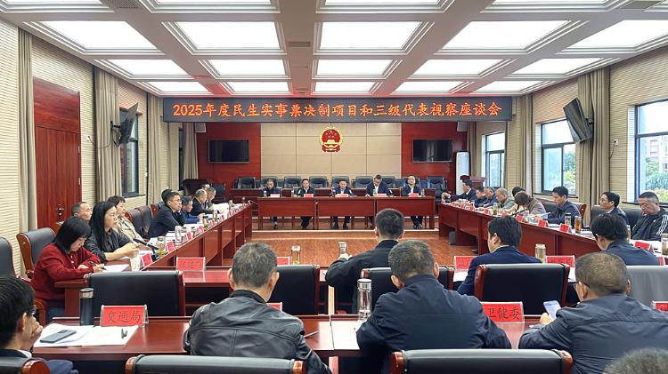 桐城市2025年度民生实事票决制项目暨三级代表视察座谈会召开