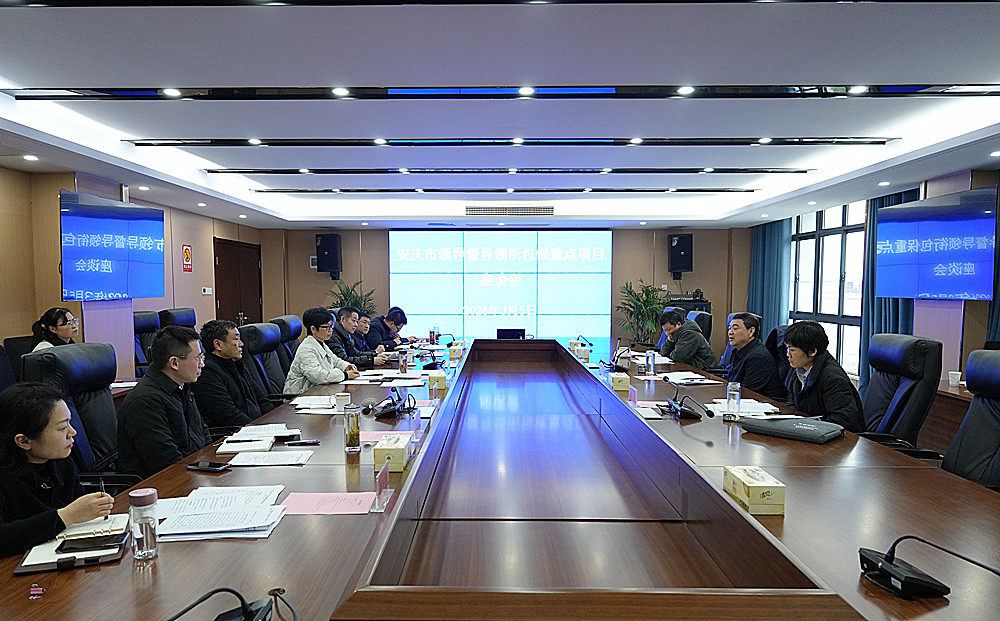 周东明来桐督导领衔包保重点项目建设