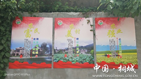 微信图片_20180723103416.jpg