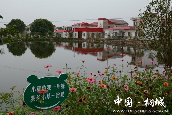 图为大关镇缸窑村美丽乡村建设当家塘.JPG