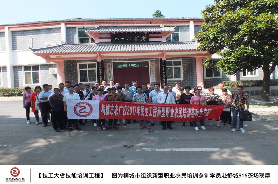 【图看民生】桐城市技工大省技能培训工程实施图集