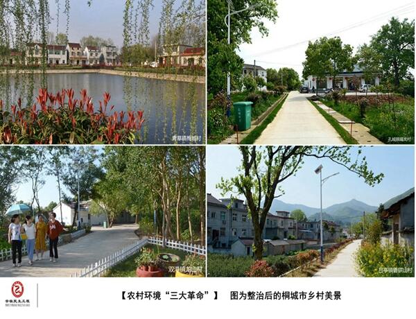 【图看民生】桐城市农村环境“三大革命”图片集