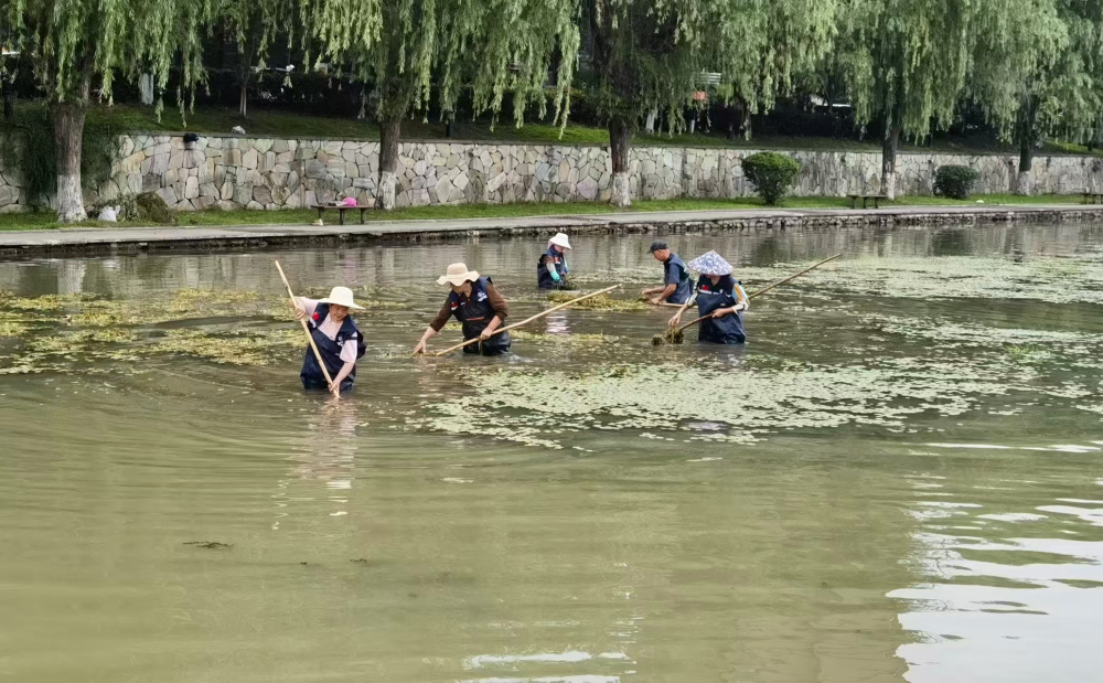 图片1_副本.png